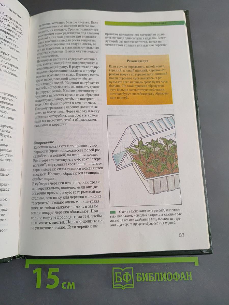 Неприхотливые комнатные растения. Практическое руководство