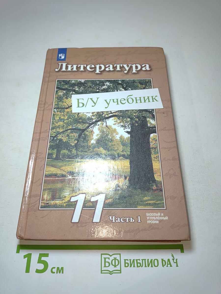 Литература 11 класс. Часть 1