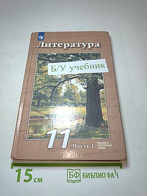 Литература 11 класс. Часть 1