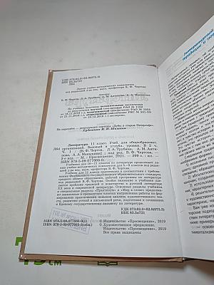 Литература 11 класс. Часть 1