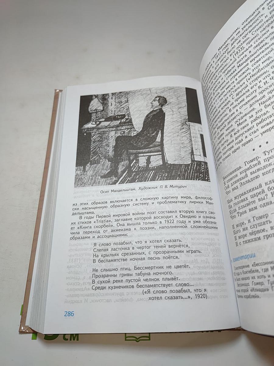 Литература 11 класс. Часть 1