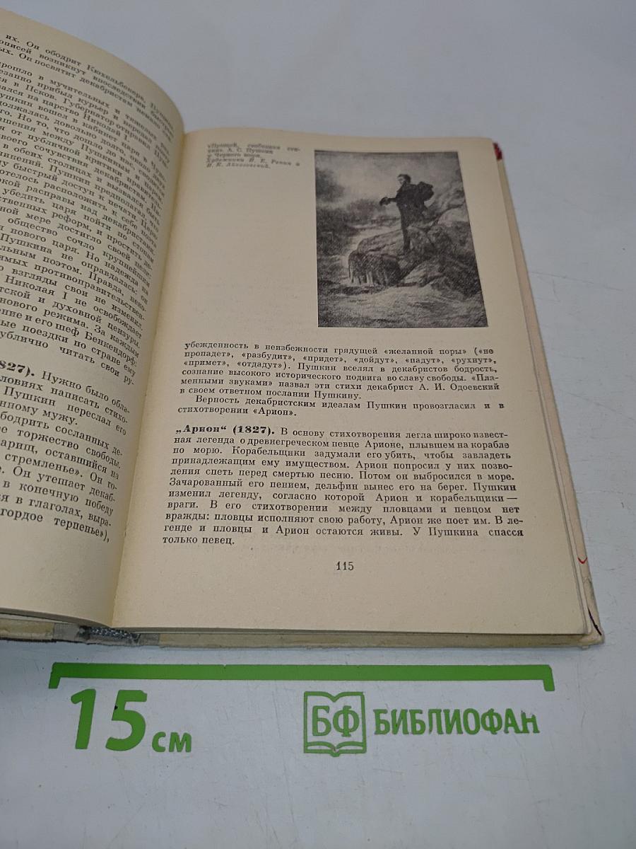 Русская литература. Учебник для восьмого класса средней школы. Часть 1