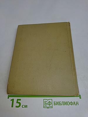 Собрание сочинений. Том 4. Михайловский замок