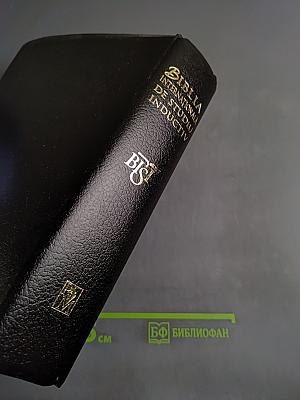Biblia Internationala de Studiu Inductiv