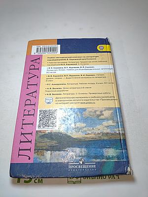 Литература 8 класс, Часть 1