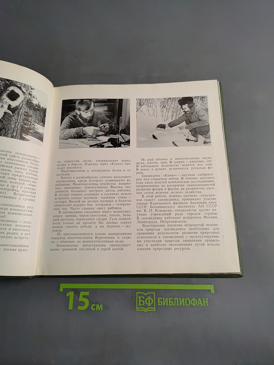 Заповедник «Кивач»