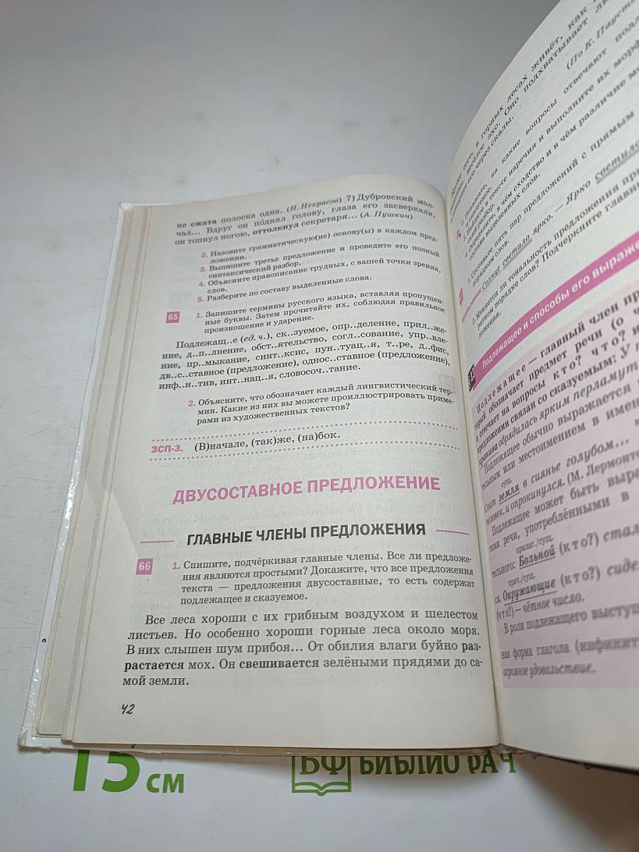 Русский язык 8 класс