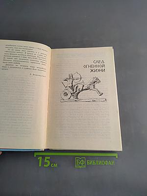 След огненной жизни. Мессенские войны