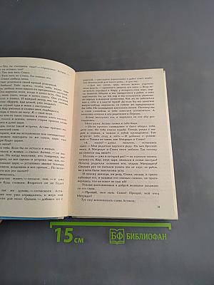 След огненной жизни. Мессенские войны