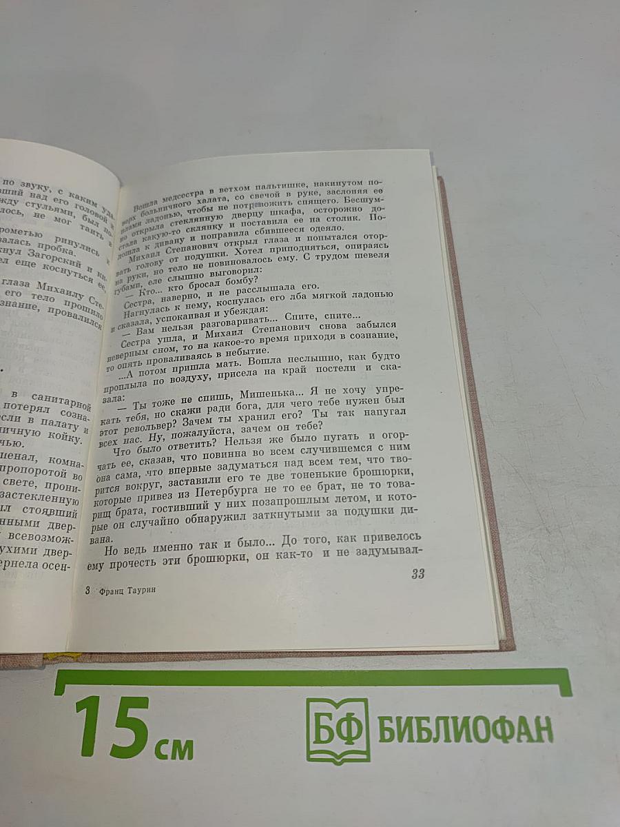 Каменщик революции