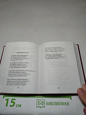 Песни и романсы русских поэтов. Том второй