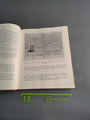 Белые ночи