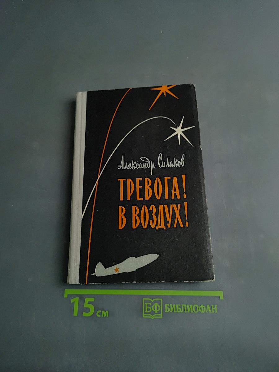 Тревога! В воздухе!