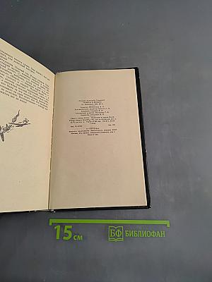 Тревога! В воздухе!