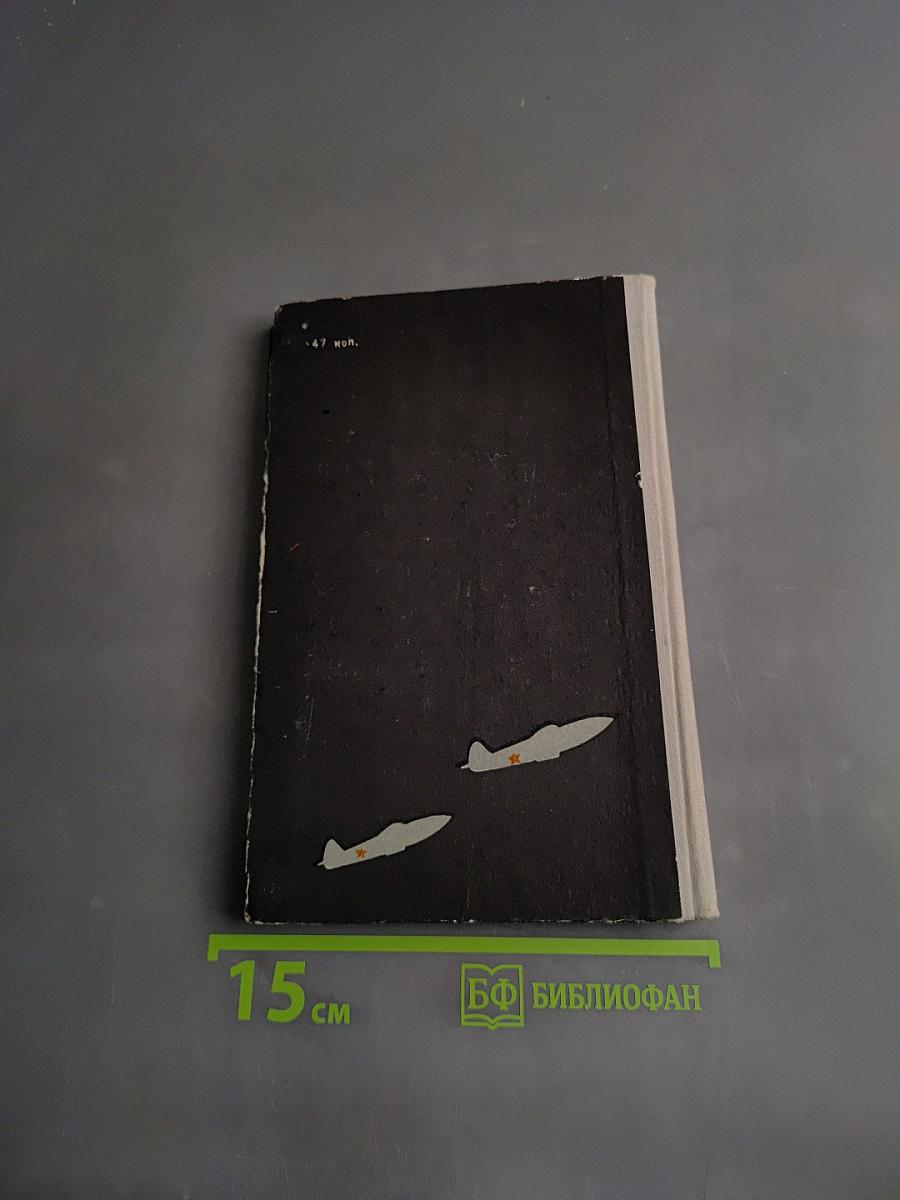 Тревога! В воздухе!