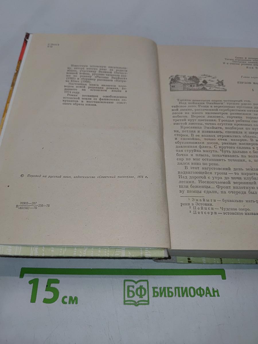 Рассказ Эмайльи