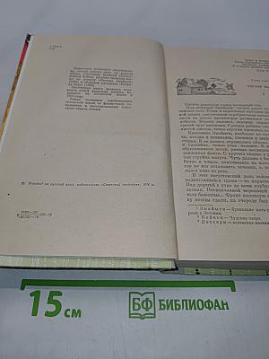 Рассказ Эмайльи