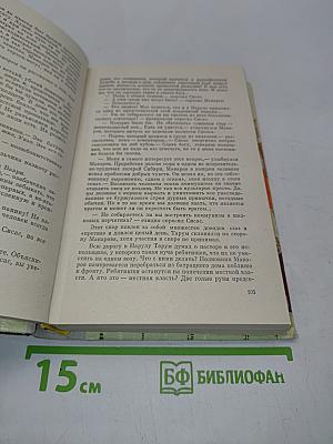 Рассказ Эмайльи
