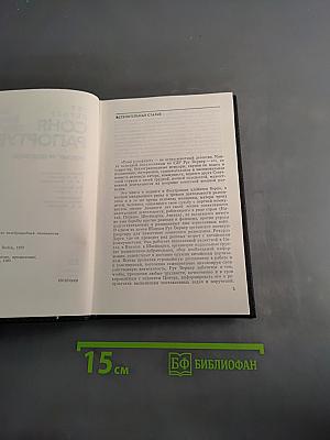 Соня Рапортует. Подвиг разведчицы