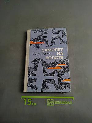 Самолет на болоте