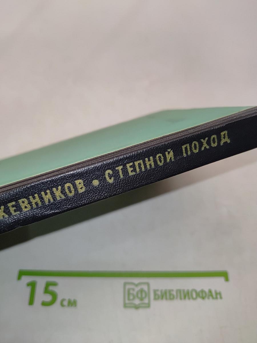 Степной поход