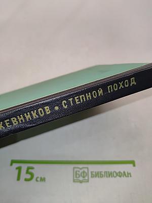 Степной поход