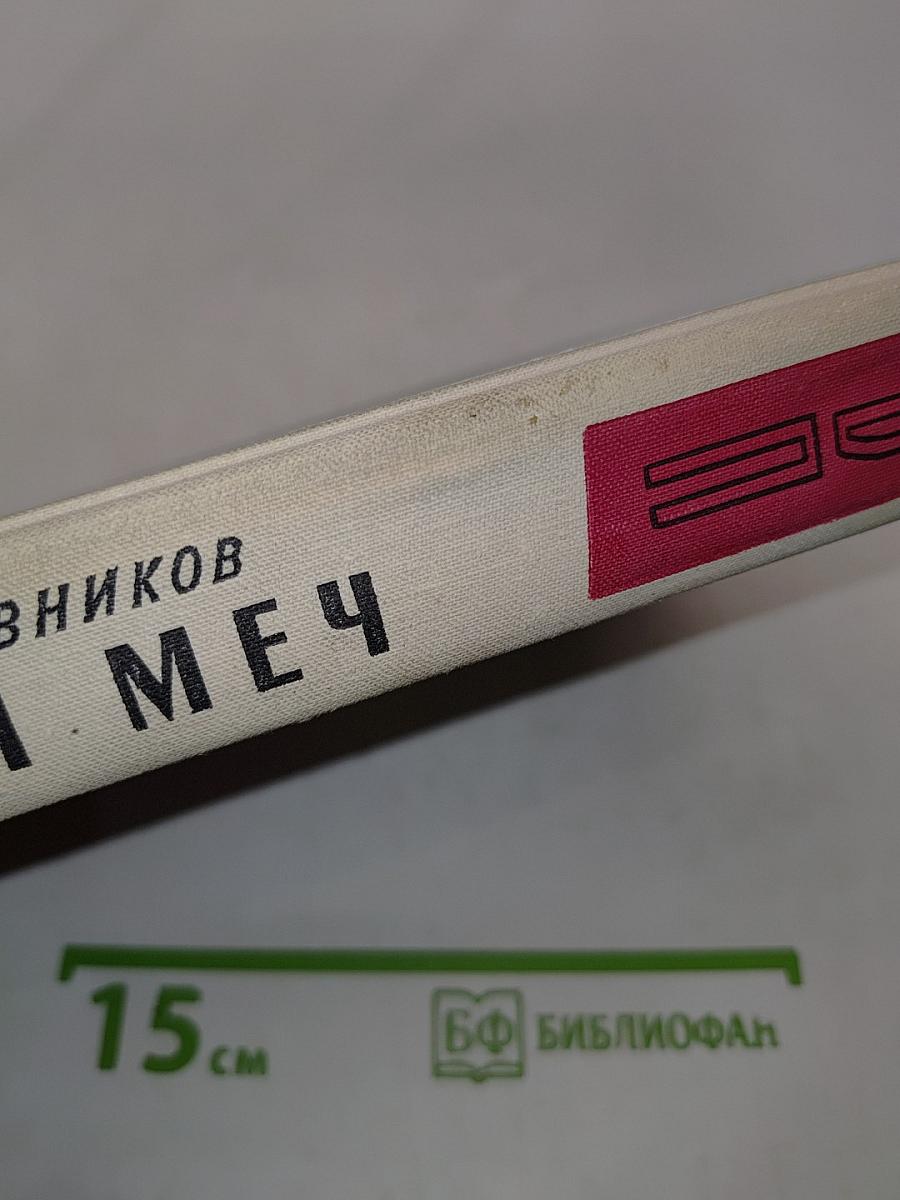 Щит и меч. Книга вторая