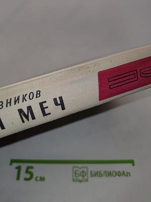 Щит и меч. Книга вторая