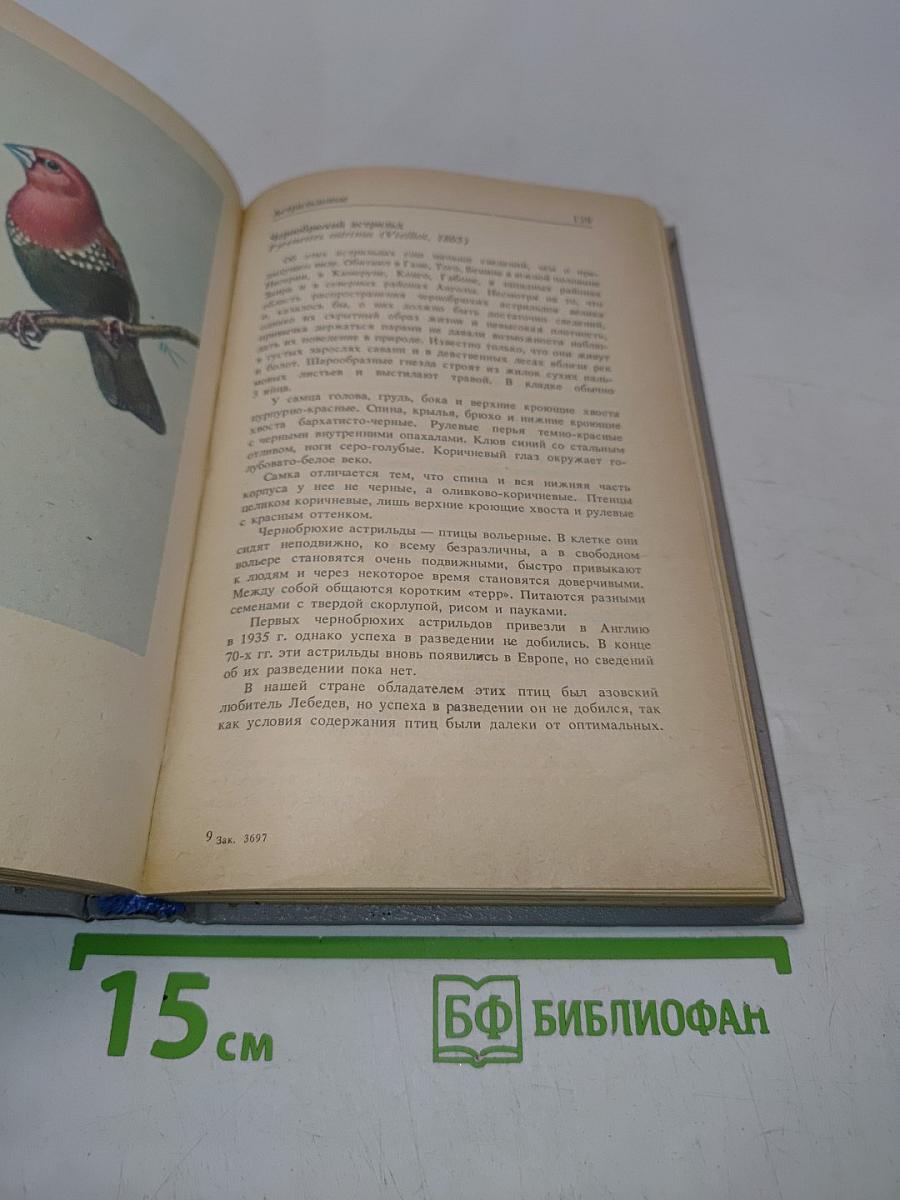 Пернатая радуга