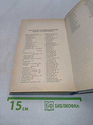 Пернатая радуга
