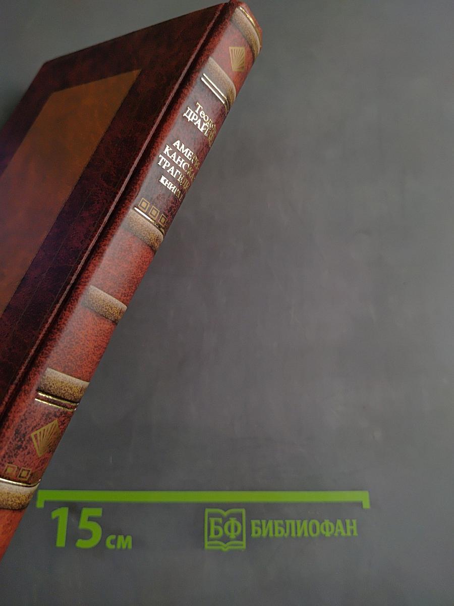 Американская трагедия. Книга 1