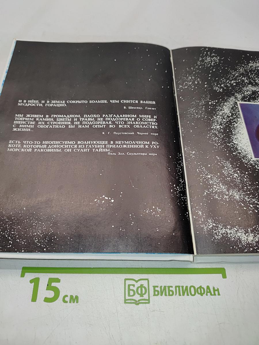 О чем поют ракушки