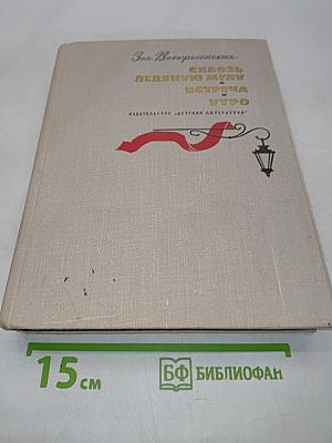 Сквозь ледяную мглу. Встреча. Утро