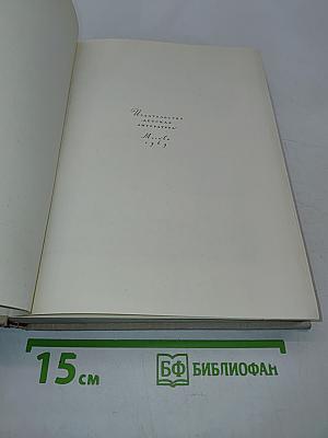 Сквозь ледяную мглу. Встреча. Утро