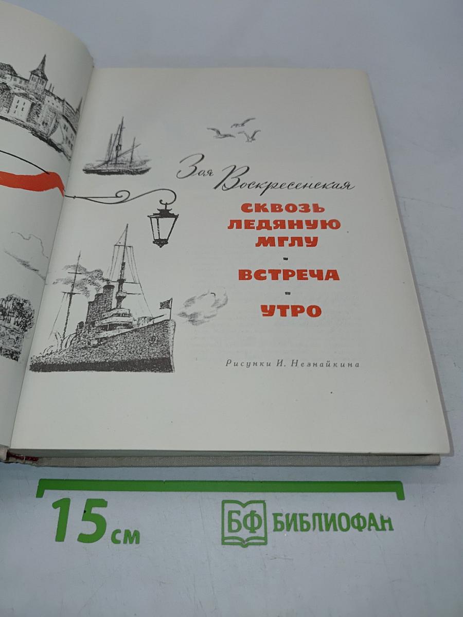 Сквозь ледяную мглу. Встреча. Утро