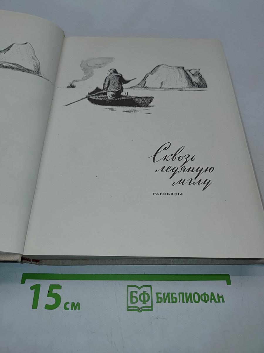 Сквозь ледяную мглу. Встреча. Утро