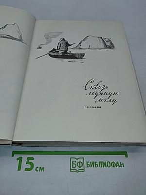Сквозь ледяную мглу. Встреча. Утро