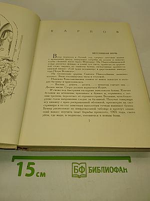 Сквозь ледяную мглу. Встреча. Утро