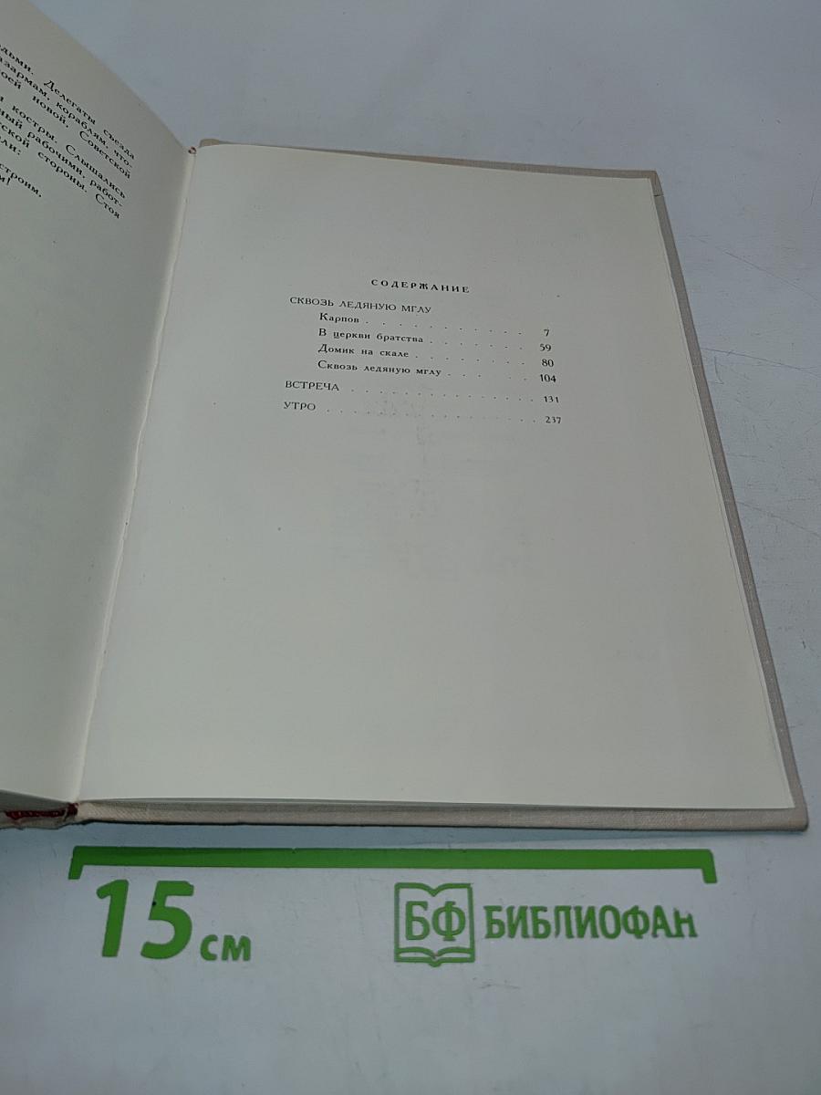 Сквозь ледяную мглу. Встреча. Утро