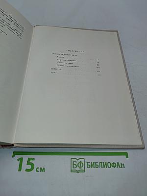 Сквозь ледяную мглу. Встреча. Утро
