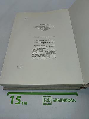 Сквозь ледяную мглу. Встреча. Утро