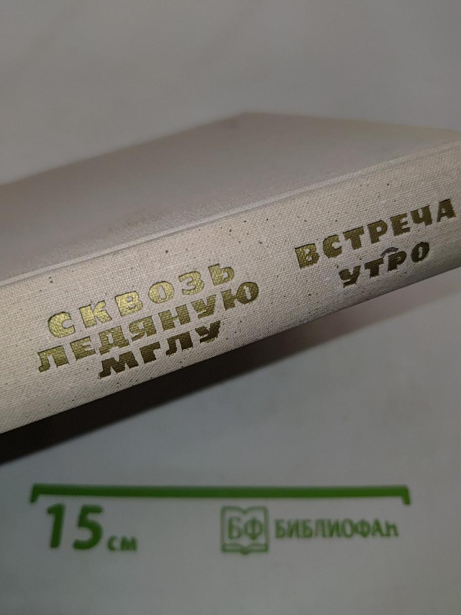 Сквозь ледяную мглу. Встреча. Утро