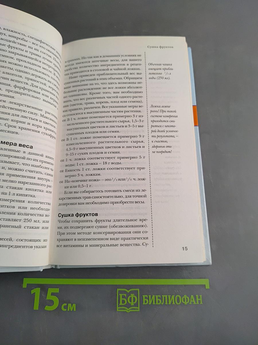 Лечебные настои из фруктов и трав для здоровья и красоты