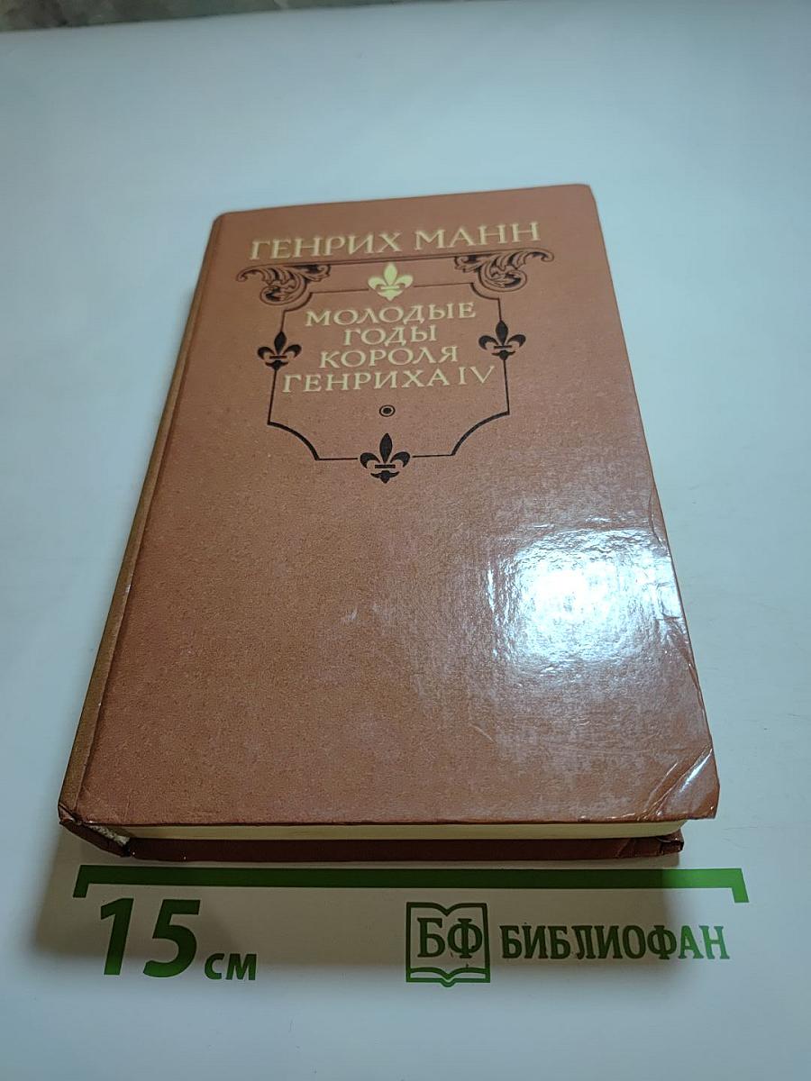 Молодые годы короля Генриха IV