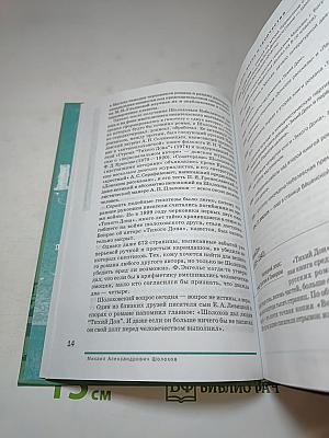 Литература. Учебник для 11 класса (базовый уровень). В двух частях. Часть 2