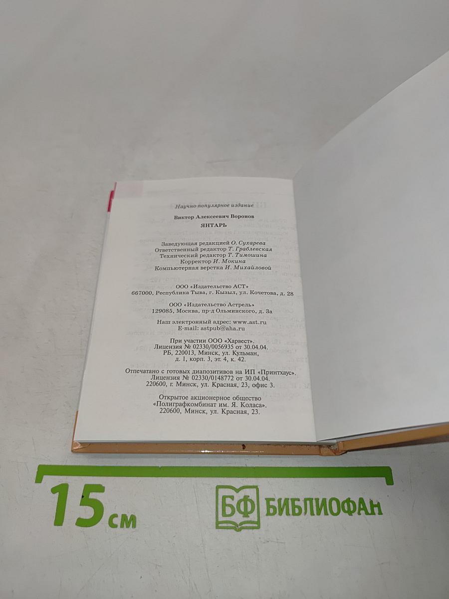 Янтарь
