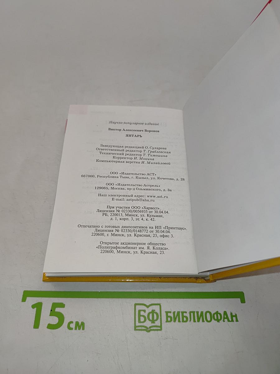 Янтарь