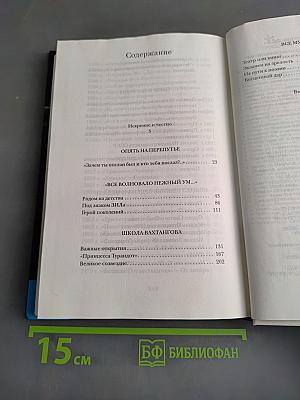 Летят за днями дни