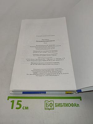 Пятнадцатилетний капитан