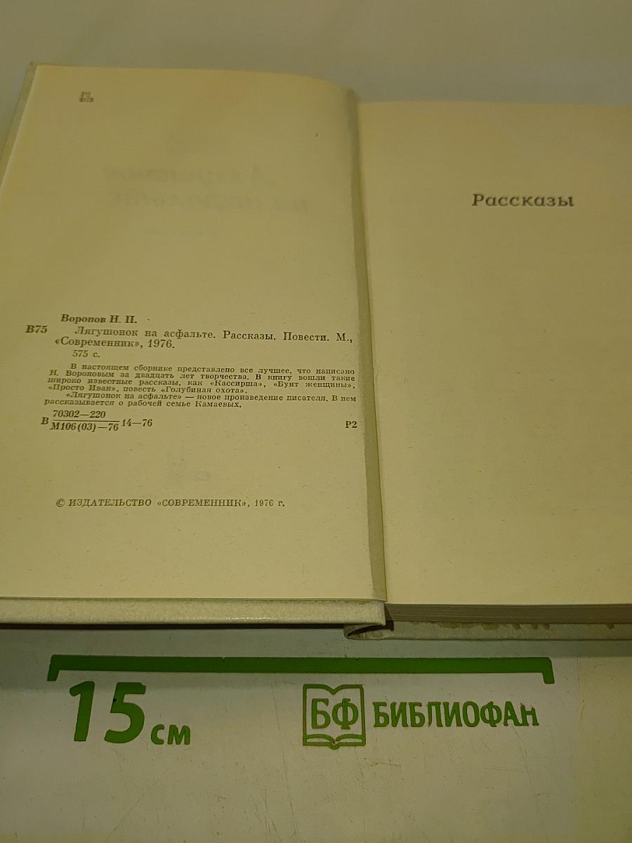 Лягушонок на асфальте